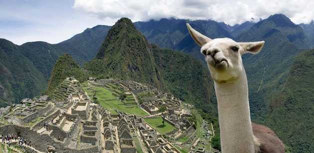 machu picchu